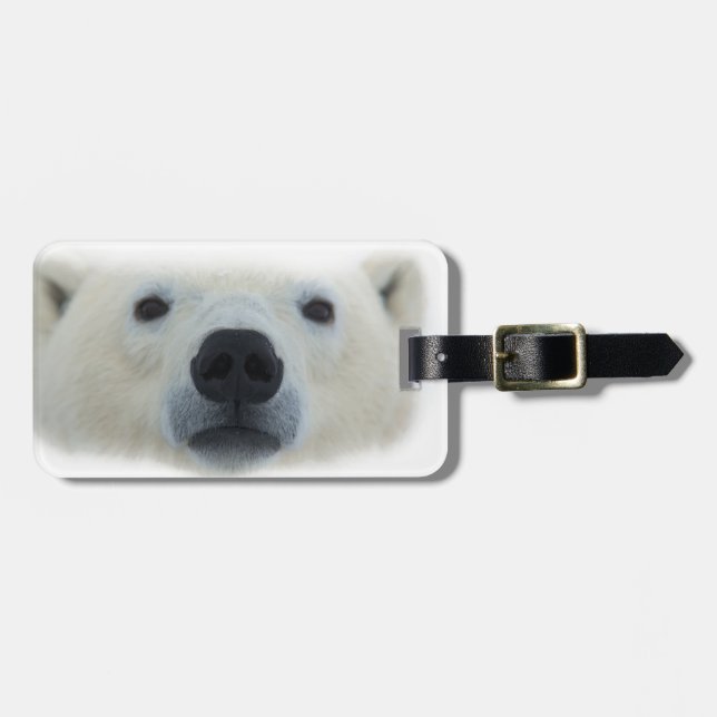 Etiqueta De Bagagem Urso Polar (Frente Horizontal)