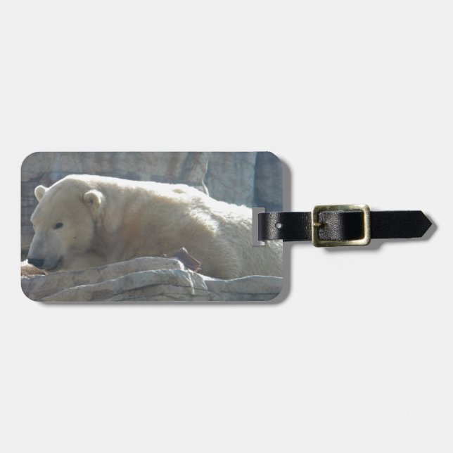 Etiqueta De Bagagem Urso Polar (Frente Horizontal)