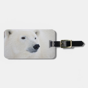 Etiqueta De Bagagem Urso Polar Churchill