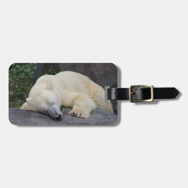 Etiqueta De Bagagem Urso Polar Dormindo (Frente Horizontal)