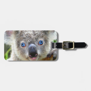 Etiqueta De Bagagem Ursos de Koala