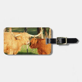 Etiqueta De Bagagem Vaca e vitelo de Highland escoceses