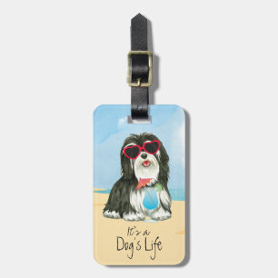 Etiqueta De Bagagem Verão Havanese