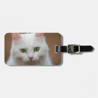 Etiqueta De Bagagem Verde bonito retrato branco eyed do gato