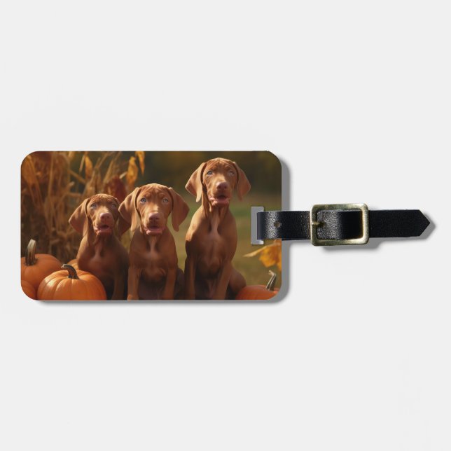 Etiqueta De Bagagem Vizsla Puppy Autumn Delight Pumpkin (Frente Horizontal)