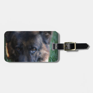 Etiqueta De Bagagem Vom Leithawald de Randy do german shepherd