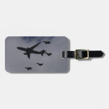 Voyager e Tufões