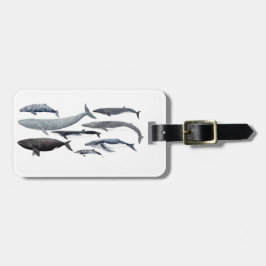 Etiqueta De Bagagem Whales and right whales