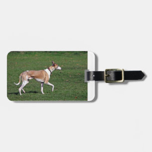 Etiqueta De Bagagem whippet-full.png