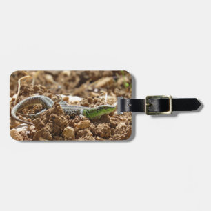 Etiqueta De Bagagem Wild Lizard Nature Fotografia Rustic