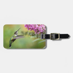 Etiqueta De Bagagem Wildlife Hummingbird Foto Floral
