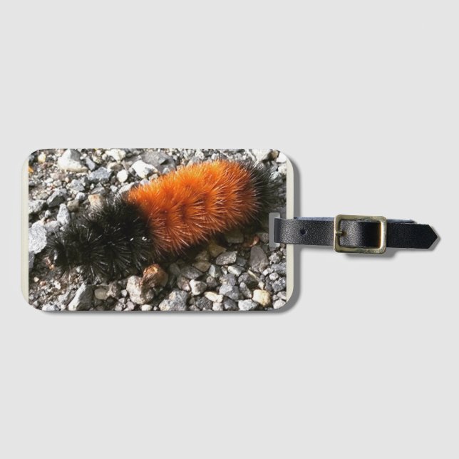 Etiqueta De Bagagem Wooly Bear Caterillar (Frente Horizontal)
