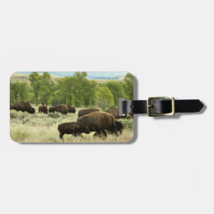 Etiqueta De Bagagem Wyoming Bison Nature