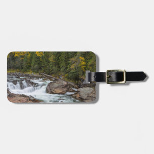 Etiqueta De Bagagem Yaak Cai No Outono Do Nacional De Kootenai