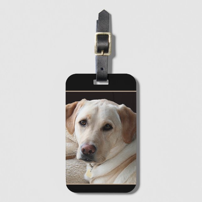 Etiqueta De Bagagem Yellow Labrador Retriever (Frente Vertical)