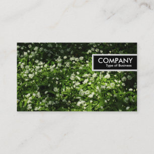 Etiqueta de borda - Alho selvagem