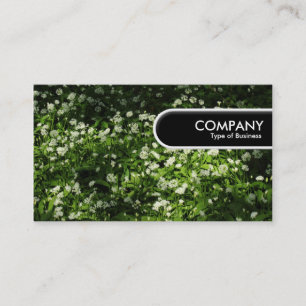 Etiqueta de Borda Arredondada - Alho Eólico