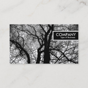 Etiqueta de borda - Árvore de alto contraste