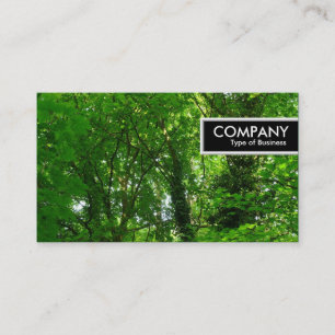 Etiqueta de borda - Árvores em Primavera