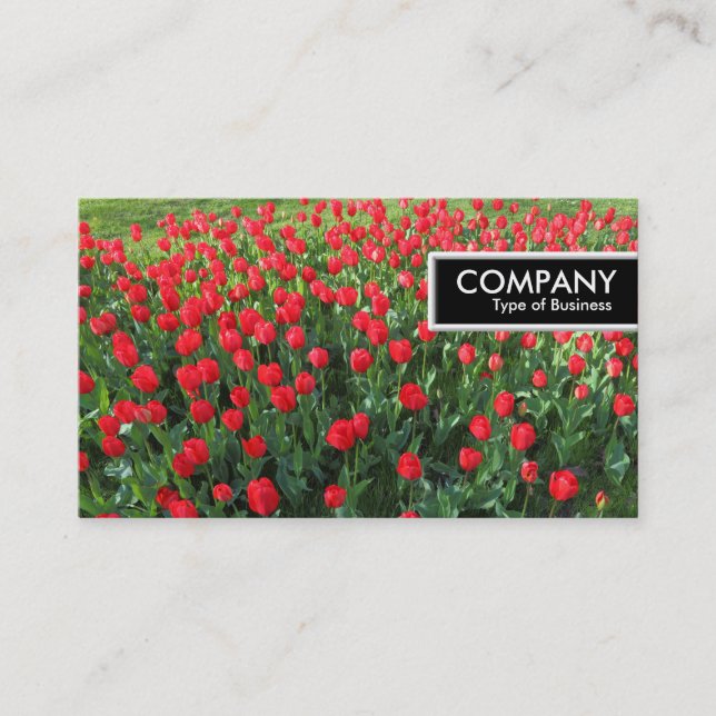 Etiqueta de Borda - Cama de Tulipas Vermelhas 01 (Frente)