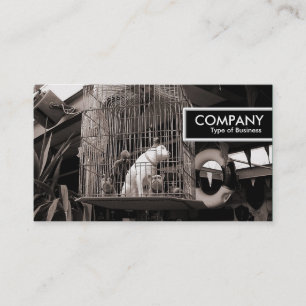 Etiqueta de borda - Peitos enjaulados