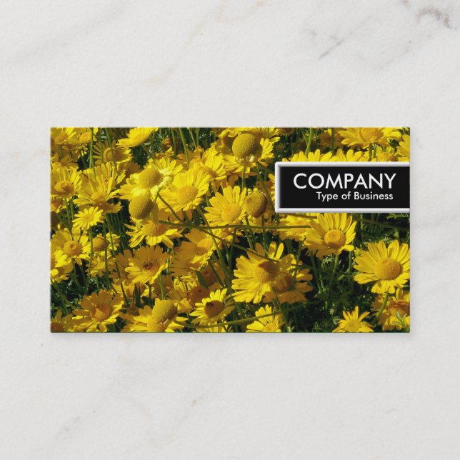 Etiqueta de Borda - Segundos Amarelos (Frente)