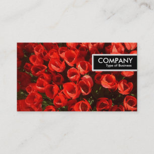 Etiqueta de borda - Tulipas