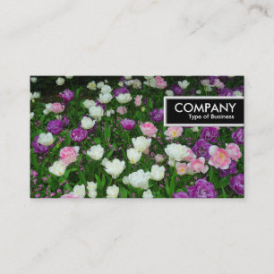 Etiqueta de Borda - Tulipas Coloridas