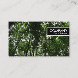 Etiqueta de Borda - Woodland Canopy 01