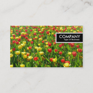 Etiqueta de Bordo - Mar de Tulipas II