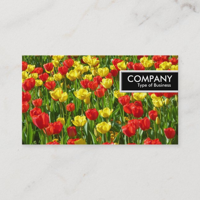 Etiqueta de Bordo - Mar de Tulipas III (Frente)