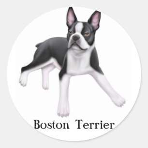 Etiqueta de Boston Terrier