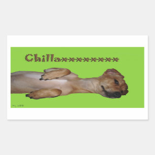 Etiqueta de Chillaxin Chiweenie