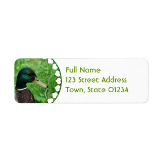Etiqueta de Correio Mallard