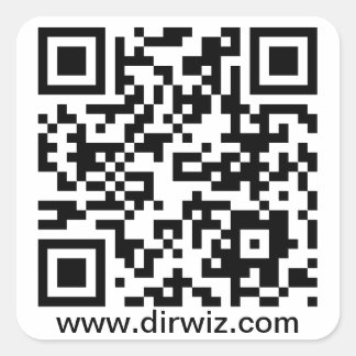 Etiqueta de DirWiz QR