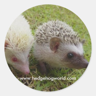 Etiqueta de dois cuties