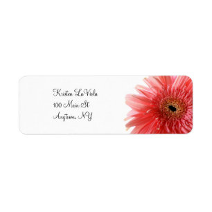Etiqueta de endereço cor-de-rosa da margarida de