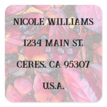 Etiqueta de Endereço das Chokecherries - Etiquetas