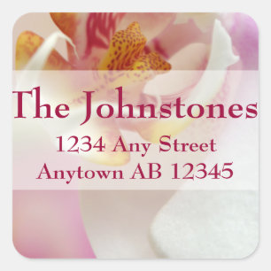 Etiqueta de Endereço de Casamento de Orquídea Bran