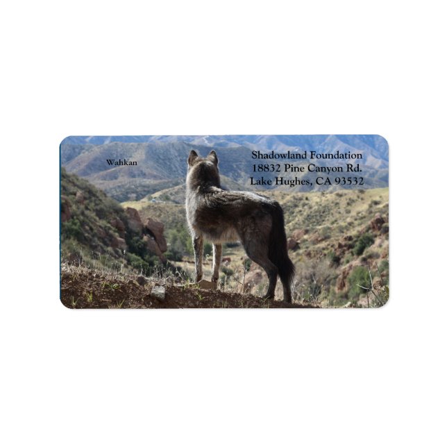 Etiqueta de Endereço de Devolução (Frente)