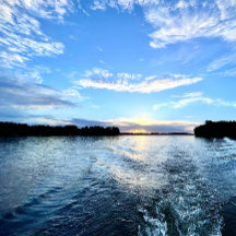 Etiqueta de Endereço de Devolução