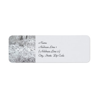 Etiqueta de Endereço de Devolução de Inverno Snowy