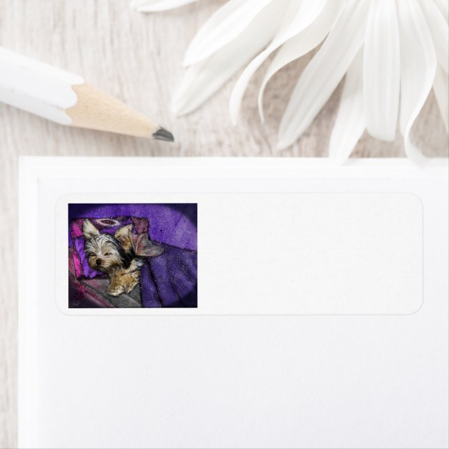 Etiqueta de Endereço de Devolução de Perda Yorkie (Insitu)