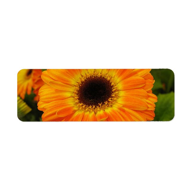 Etiqueta de Endereço de Flor Laranja (Frente)