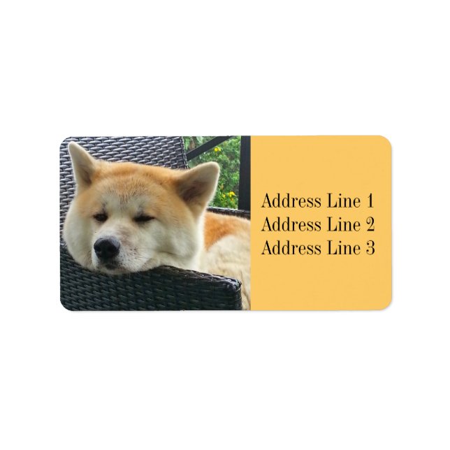 Etiqueta de Endereço de Foto de Akita (Frente)