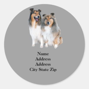 Etiqueta de endereço de Sheltie