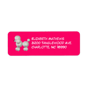 Etiqueta de endereço do remetente cor-de-rosa &