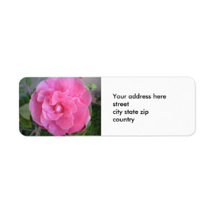 Etiqueta de endereço do remetente cor-de-rosa da