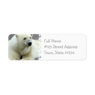 Etiqueta de endereço do remetente do urso polar