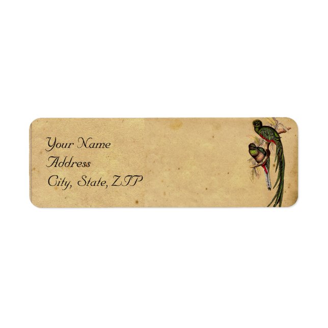 Etiqueta de Endereço Elegante de Vintage Quetzal B (Frente)